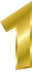 Pneumatico consigliato 1